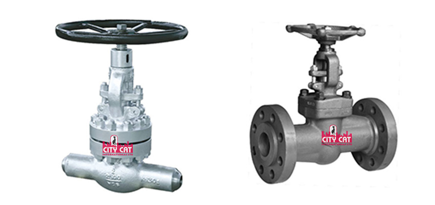 Globe Valves for Oil and Gas Production export company - City Cat Oil Parts Supply